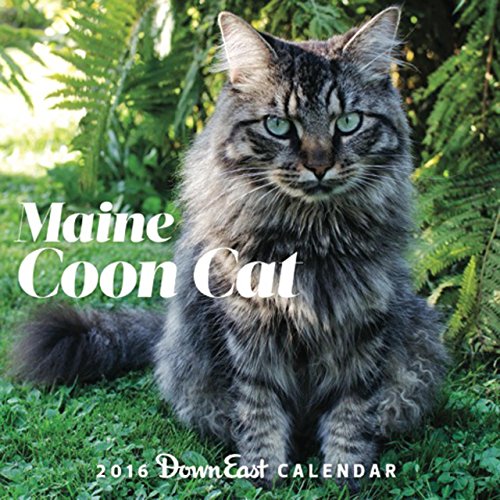 2016 Maine Coon Cat Down East Wall Calendar, by Editors of Down East 2016 Maine Coon Cat Down East Wall Calendar, by Editors of Down East