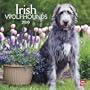 Irish Wolfhounds 2010 Square Wall