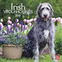 Irish Wolfhounds 2010 Square Wall