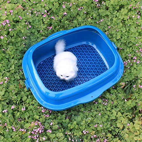 Favorite High Sided 2 Pine Sifter Cat Litter Box Animals Pet Supplies