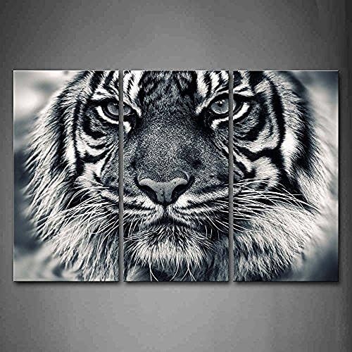Korean Fashion Ferocity Tiger With Eye Staring And Beard Wall Art Painting Pictures Print On Canvas Animal Wall Decor
