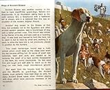 A Ladybird book about dogs