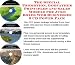 Search : The Special Promotion, Godfather Principles and Sales Models for Juke Boxes Web Businesses 3 CD Power Pack