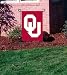 Oklahoma - Garden/window flag