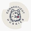 University of Connecticut Carsters - Coasters for Your Car