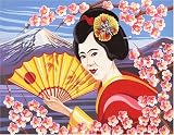 Review oasis pl68 / Reeves - Paint by Numbers Senior - Geisha