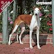 Greyhound 2009 Wall Calendar