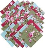 Robyn Pandolph RUE SAINT GERMAIN 6.5 Quilting Fabric Squares 61u61YyefPL. SL160 Robyn Pandolph RUE SAINT GERMAIN 6.5 Quilting Fabric Squares