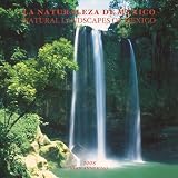 La Naturaleza de MÃ©xico/Natural Landscapes of Mexico 2008 Square Wall Calendar