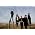 Thumbnail image of The Pigeon Detectives