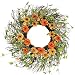 Melrose Twig Wreath with Orange and Yellow Zinnia, 24-Inch