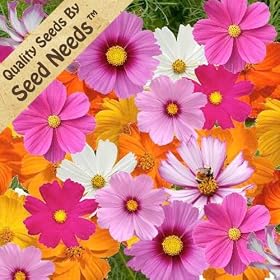 Crazy Cosmos Mix - 200 Seeds