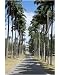 Photographic Print Of Codrington College Barbados West Indies Caribbean Central America From Robert Harding