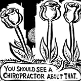 The Back Pain Avenger: Heal Chronic Back Pain and Destroy it Forever