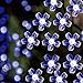 Solar LED String Lights, 100 Led Cold White Flower, 39.1ft, 9+ Hours Illumination, Waterproof, Outdoor Solar Fairy Lights, Christmas Lights, Ambiance Lights, Party Wedding Decorations - Cold White