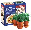 Chia Gourmet Herb Garden