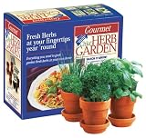 Chia Gourmet Herb Garden