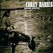 Corey-Downhome Sophisticate