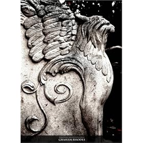 photographie following the dormant beast est disperible en (L x H): 50 x 70 cm de G. Rhodes
