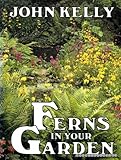 Ferns in your garden