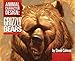 Animal Character Design:Grizzly Bears