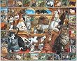 Loveable Pets Collection Jigsaw Puzzle 1000 Pieces 24"X30" - The World Of Cats
