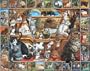 White Mountain Puzzles World of Cats