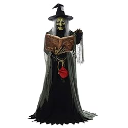 Spell-speaking Witch Animated