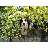 ���i�̏ڍ�