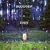 Daisy (Amazon MP3 Exclusive Version)