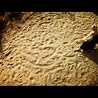 Official "Chashing The Daylight" Music Video