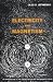 Electricity and Magnetism : An Introduction to the Theory of Electric and Magnetic Fields, 2nd edition