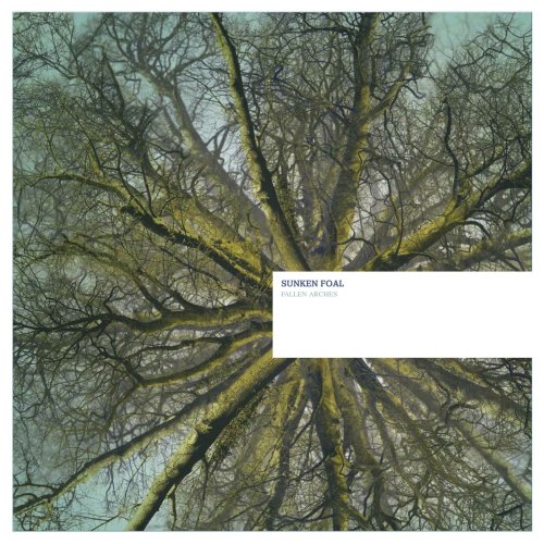 CD-Charts  Music : Fallen Arches [VINYL]