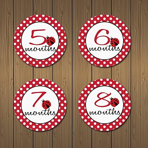 MyLilSprouts Ladybug Monthly Baby Girl Newborn MileStone Round Easy Peel Stickers 1 - 12 Months Set - Baby Shower Gift (Style 12)
