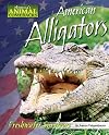 American Alligators: Freshwater Survivors (America's Animal Comebacks)