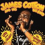 Alligator Records