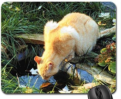pussy in the water Mouse Pad, Mousepad (Cats Mouse Pad)