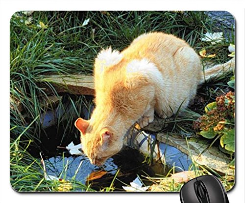 pussy in the water Mouse Pad, Mousepad (Cats Mouse Pad)
