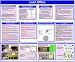Lean Office Glossy Poster