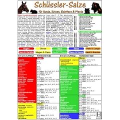 Schüssler-Salze für Hunde, Katzen, Kleintiere und Pferde. DIN A5. Tierheilkunde Karte (Broschiert)