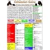 Schüssler-Salze für Hunde, Katzen, Kleintiere und Pferde. DIN A5 Schüssler-Salze für Hunde, Katzen, Kleintiere und Pferde. DIN A5
