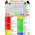 Sch�ssler-Salze f�r Hunde, Katzen, Kleintiere und Pferde. DIN A5