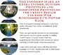 The Guru's Generate Extra Cash, Marketing and Inner Game for Credit Repair Courses Web Biz 3 Course + Resource Guide