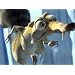 Product Video: Ice Age-Trailer