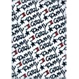 Ｔｏｍｍｙ Ｇｉｒｌ手帳 ２０１１<br>宝島社<br>1365円<br>ISBN:9784796678407