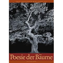 Poesie der B�ume 2012 - Posterkalender