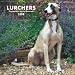 Lurchers 2008 Square Wall Calendar