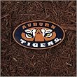 Auburn Tigers NCAA Stepping Stone