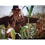 Canicule <b>DVD</b> ~ Lee Marvin