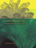 Plants in Mesozoic Time: Morphological Innovations, Phylogeny, Ecosystems (Life of the Past)